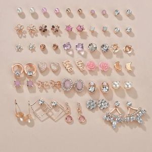 NWT 30 pairs of Small earring set